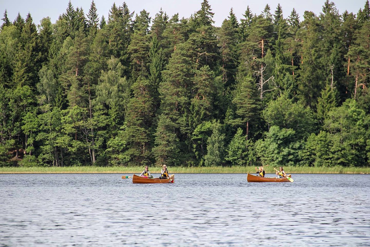 Cedar canoes paddling during a tour in Plateliai, Lithuania