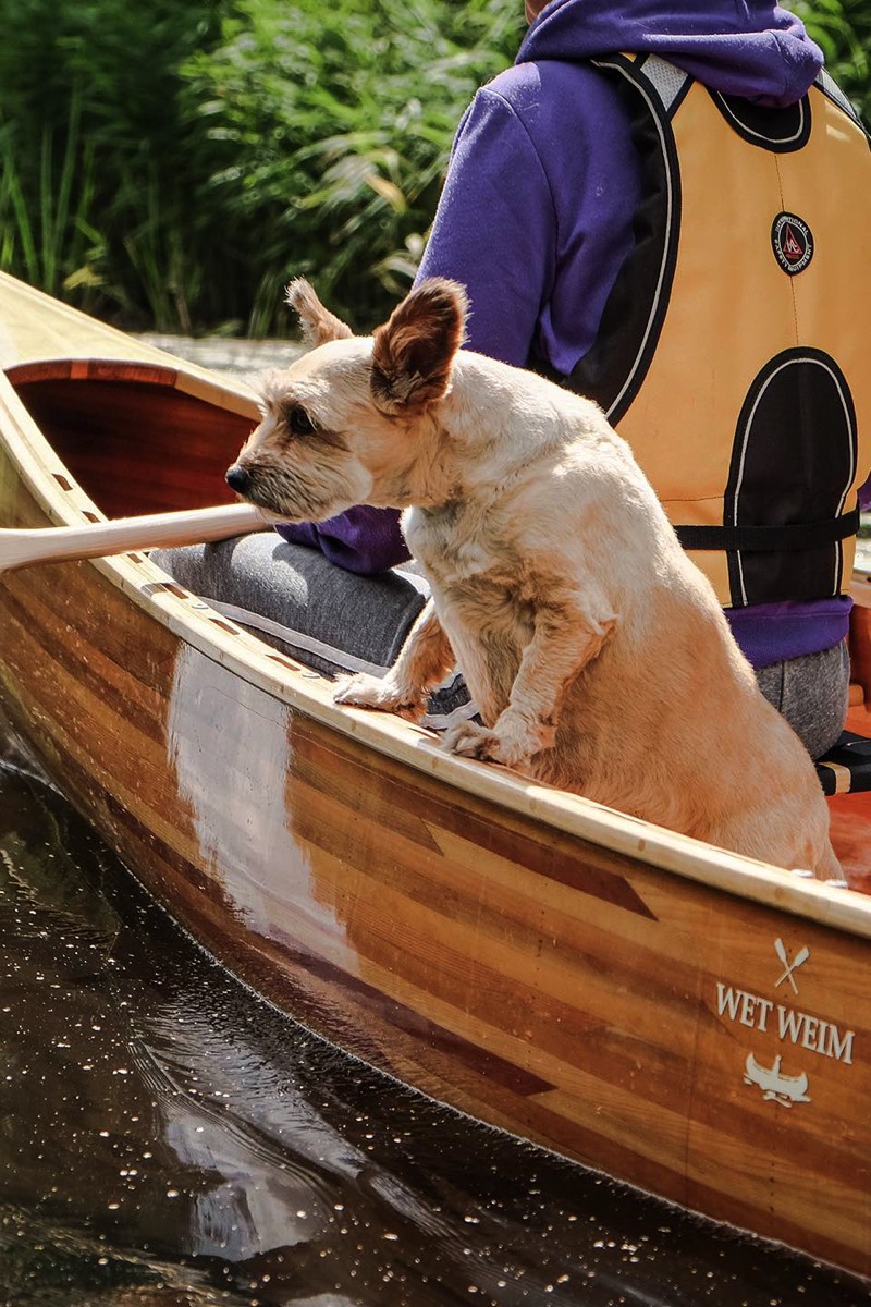 Šuo keliauja su šeimininkais kanojoje